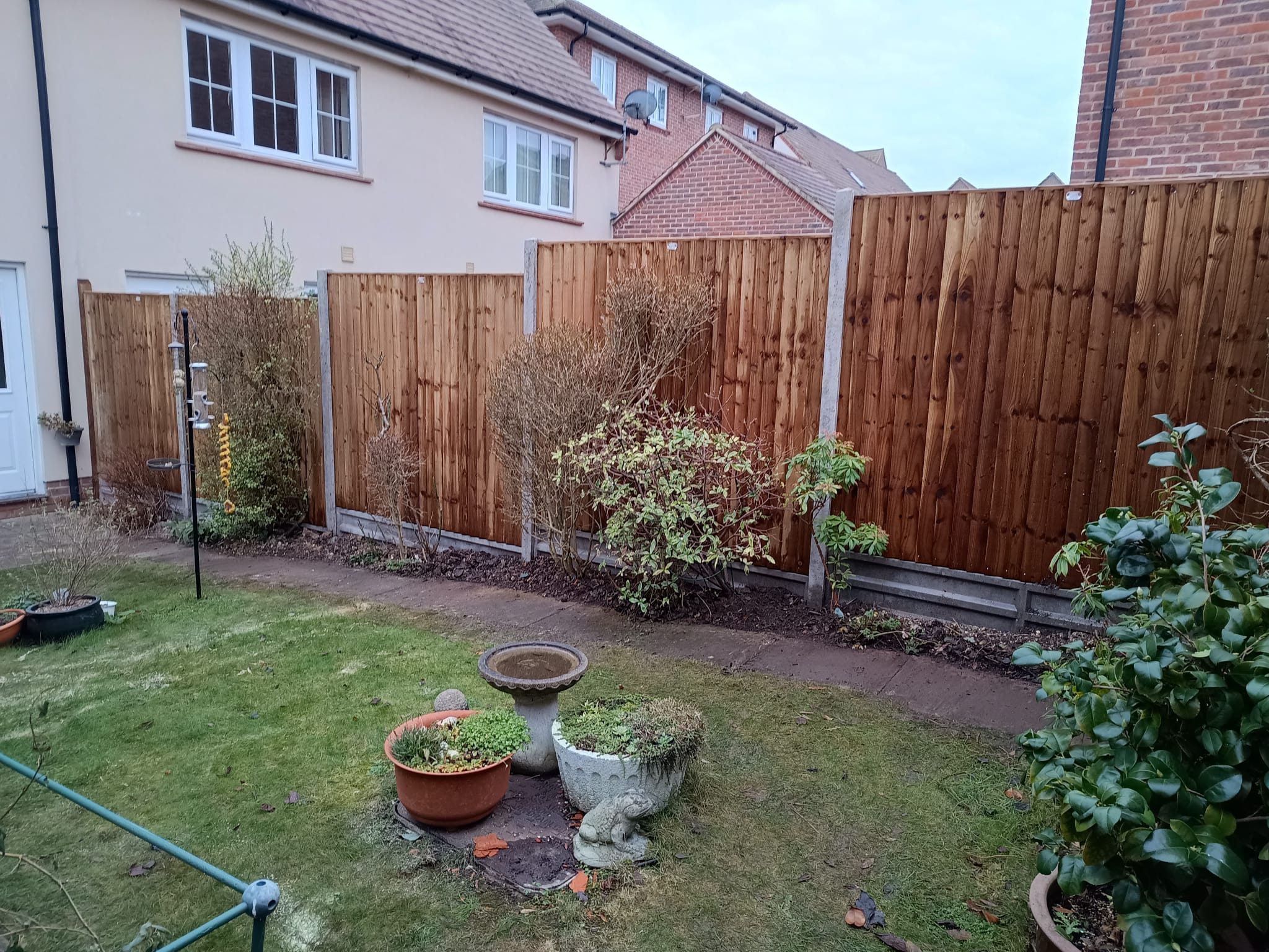 New closeboard fence in a back garden