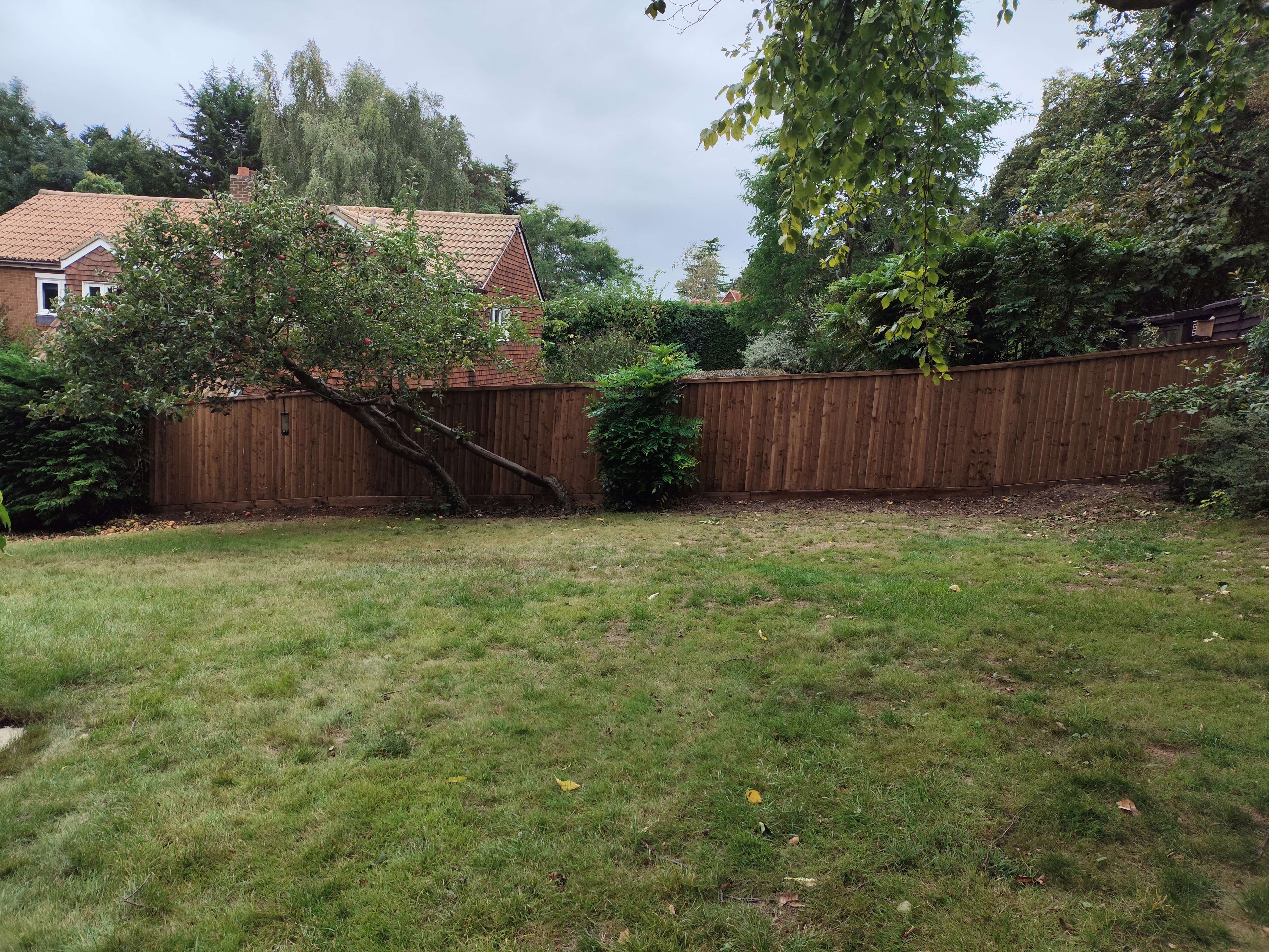 Long stretch of new closeboard fencing