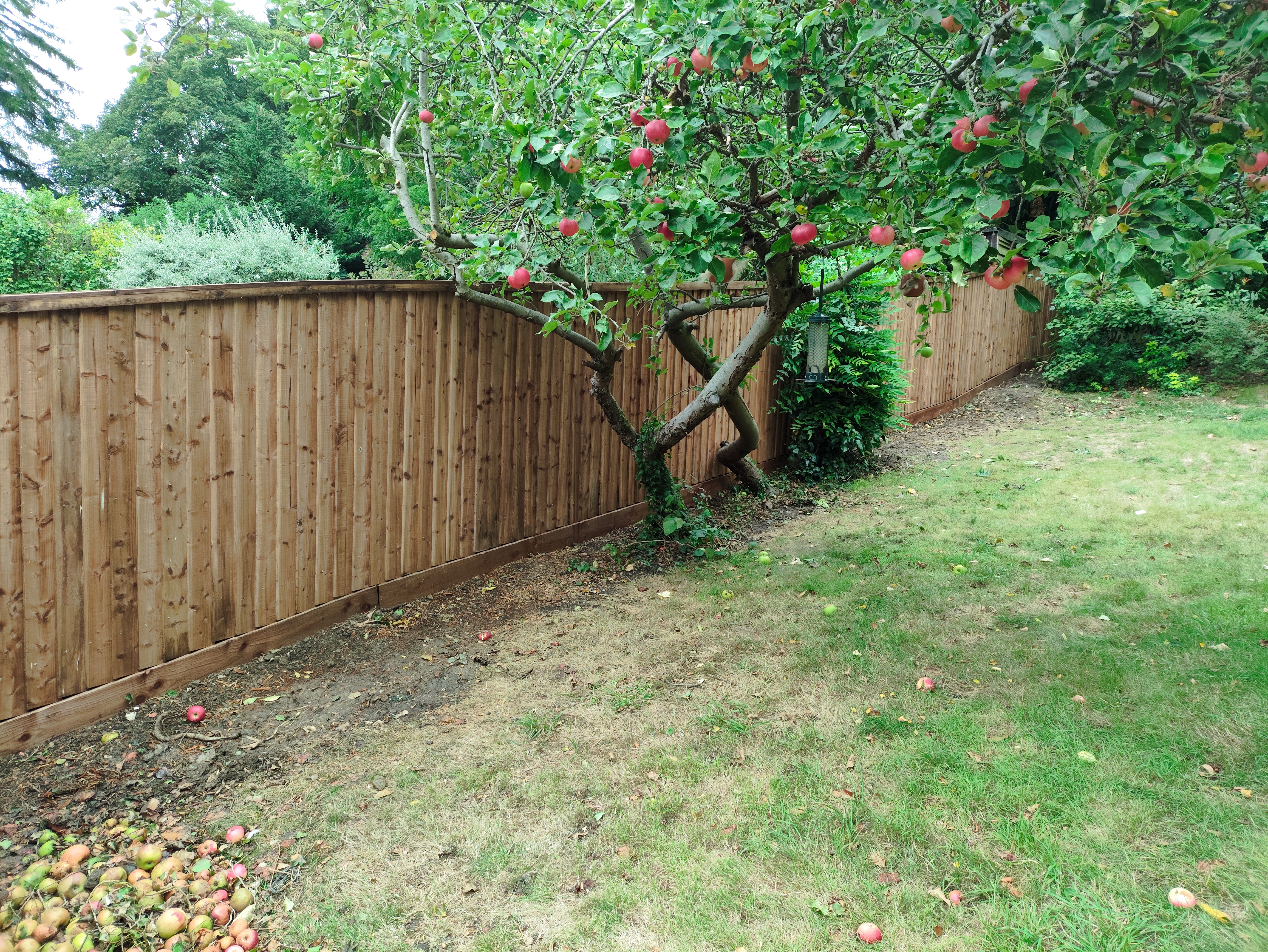 The same long-run closeboard fence, viewed from another angle